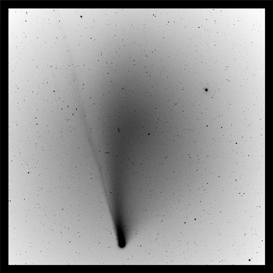 Cometa C/2020 F3 Neowise.